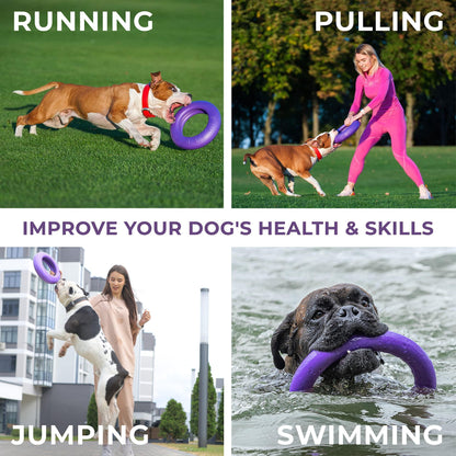 Purple Puller Outdoor Dog Ring Toys Dog Fetch Toy for Large Dogs Maxi Size 1 Pc